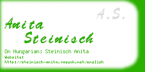 anita steinisch business card